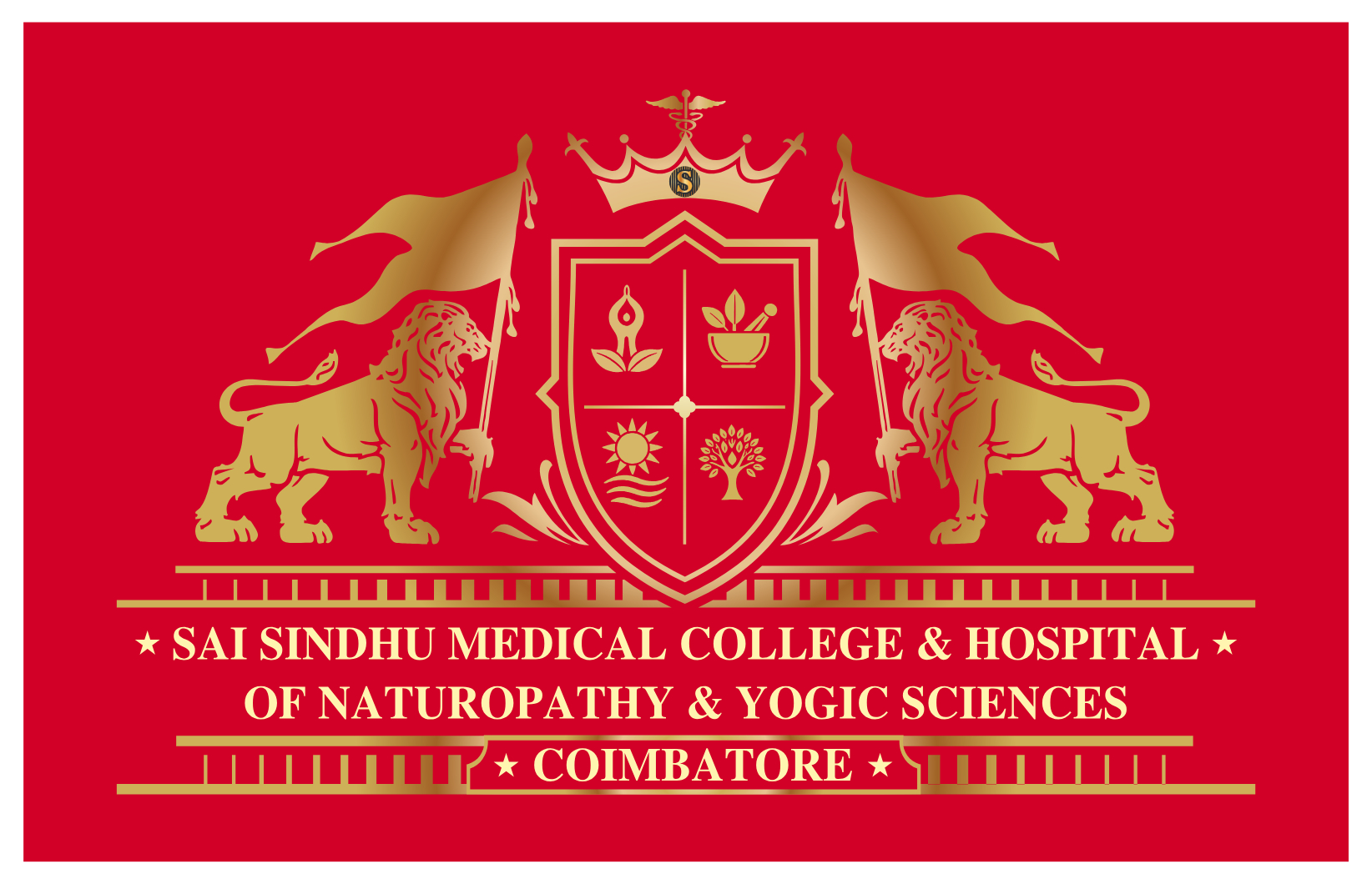 Sai Sindhu Medical College Logo
